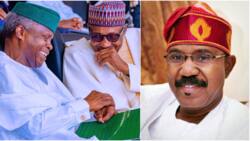Why Buhari preferred Mamora not Osinbajo as vice president, ex-SGF Boss Mustapha speaks
