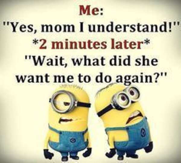 funny minion memes