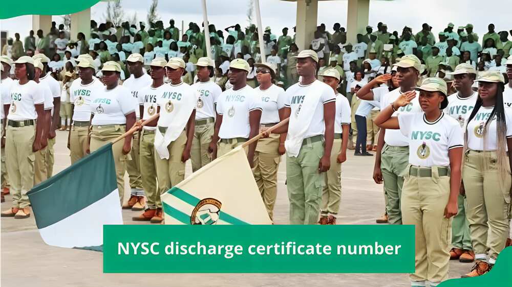 NYSC discharge number