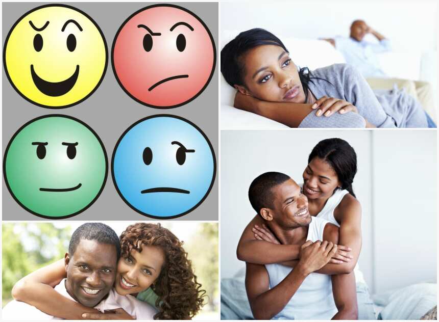 link-between-temperament-types-and-marriage-legit-ng