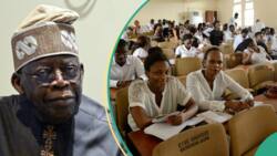 Tinubu's student loan scheme: Juicy facts about new law