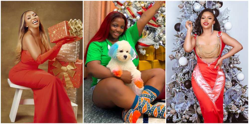 7 celebrities who dazzled alone in their Christmas Day posts
