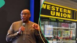 CBN sends message to Western Union, other IMTOs as naira’s crashes at official, Black FX markets