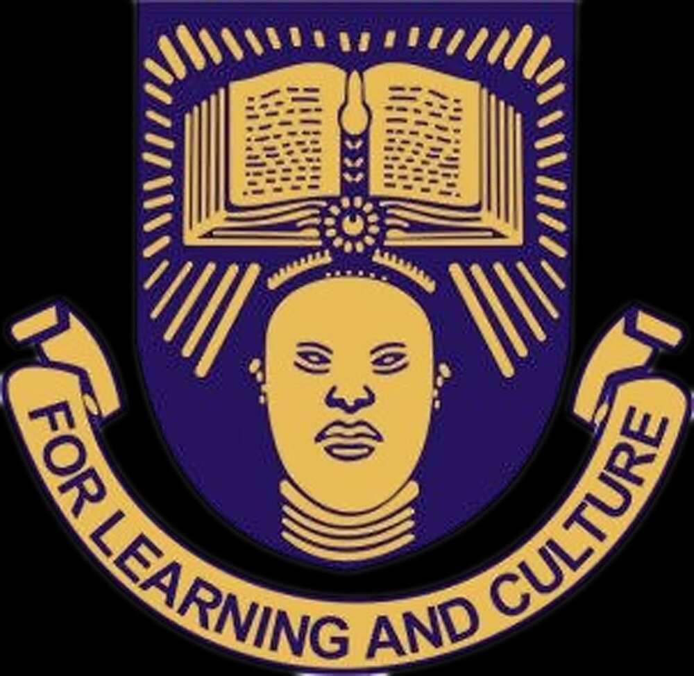 computer science in nigeria computer science in nigeria