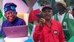BREAKING: Amid hardship in Nigeria, NLC discloses only thing that can stop nationwide strike
