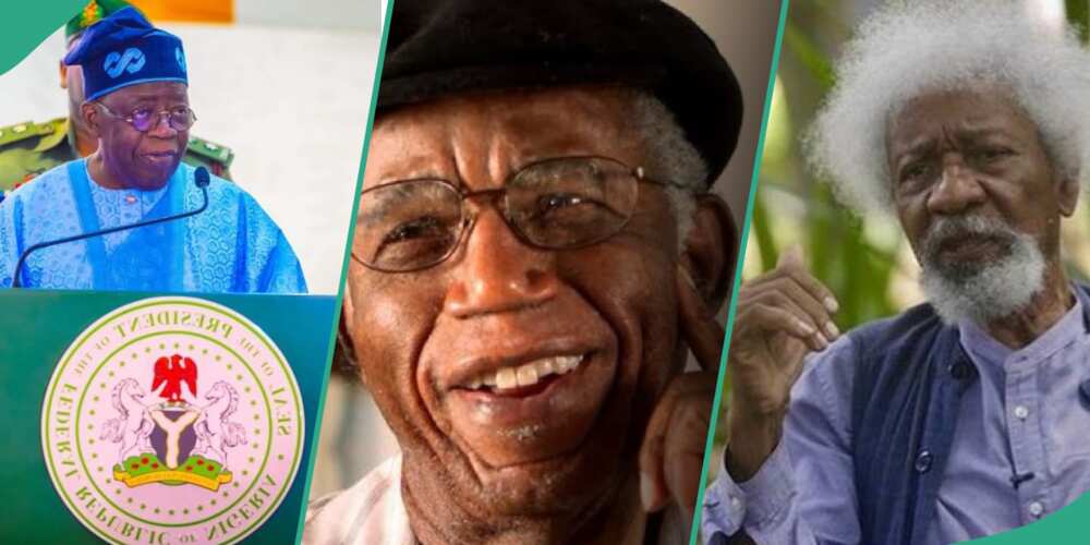 President Bola Tinubu has honoured Nigerian renowned novelist, Chinua Achebe, as he renamed the M18 road infrastructure in Guzape District, Abuja after him.