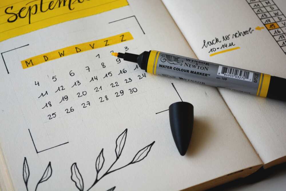 ovulation period for baby boy ovulation period for baby boy