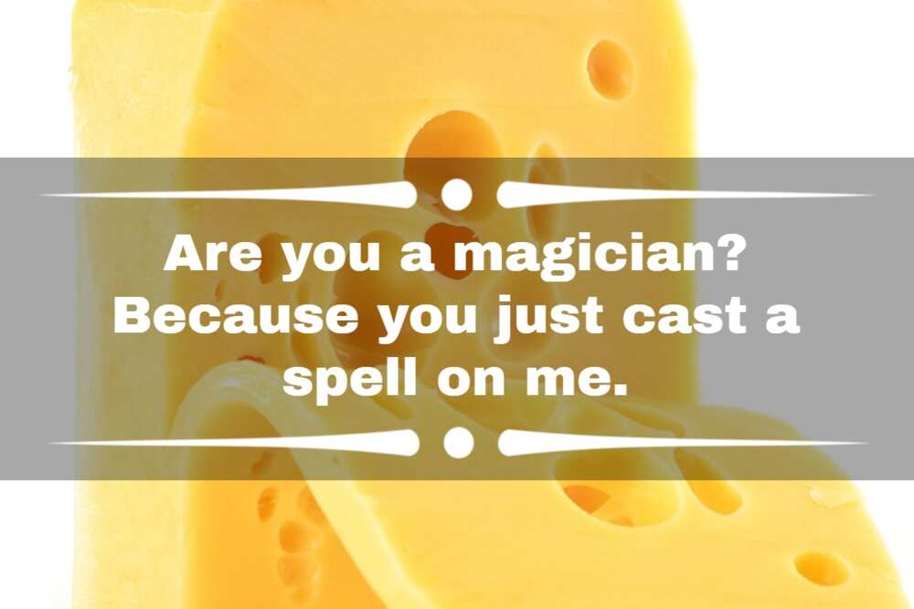 cheese jokes cheese jokes