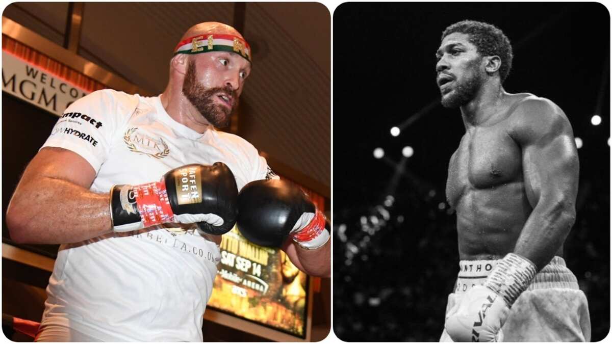 Anthony Joshua V Tyson Fury: Eddie Hearn Hints Heavyweight Bout - Legit.ng