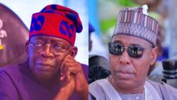 BREAKING: President Tinubu holds crucial meeting with Zulum in Aso Rock