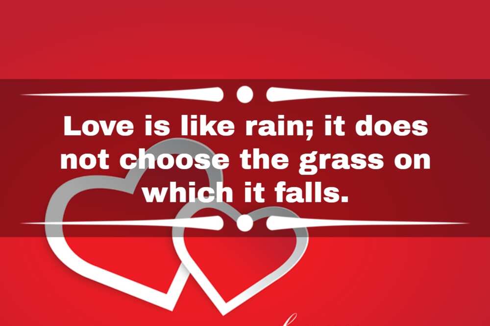 secret unexpected falling in love quotes