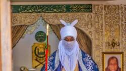 My new book will unsettle politicians in 2022 - Former Emir of Kano Sanusi warns