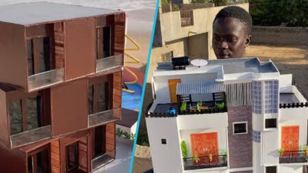 Creative boy builds hotel and mansion prototype from cartons, impresses people with his talent
