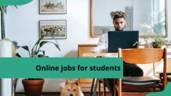Top 30 online jobs for students in Nigeria that require little to no investment