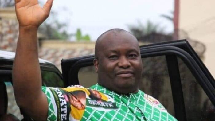 Anambra election: 2 times Ifeanyi Ubah vied for number one seat and how he fared