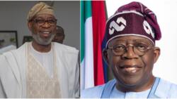 "Why Tinubu assigned solid minerals ministry to me," Dele Alake opens up