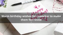 100+ warm birthday wishes for coworkers to make them feel loved