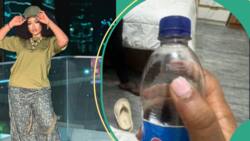 "What did I do to deserve this": BBNaija's Phyna calls out Pepsi for supplying her expired drinks