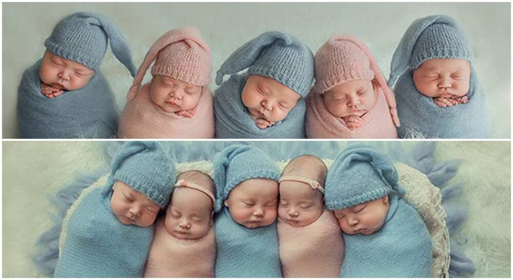Ukraine mother shares an adorable photo of her five kids.
