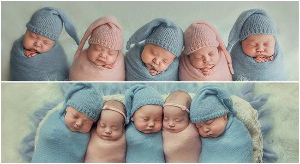 Ukrainian Couple Welcomes 5 Babies At Once, Photos of Beautiful Quintuplets Melt Hearts Online - Legit.ng