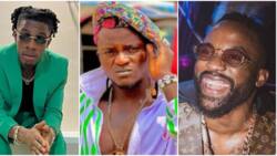 "Craziest of all time, the COAT": Joeboy and Iyanya's description of Portable Zazu stirs reactions