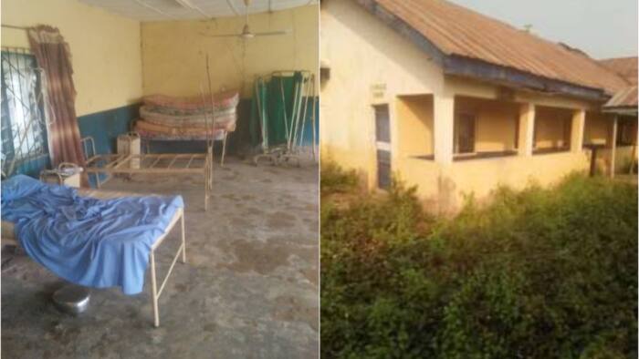 Kogi home of hospital where snakes, mosquitos chase patients by Arogbonlo Israel