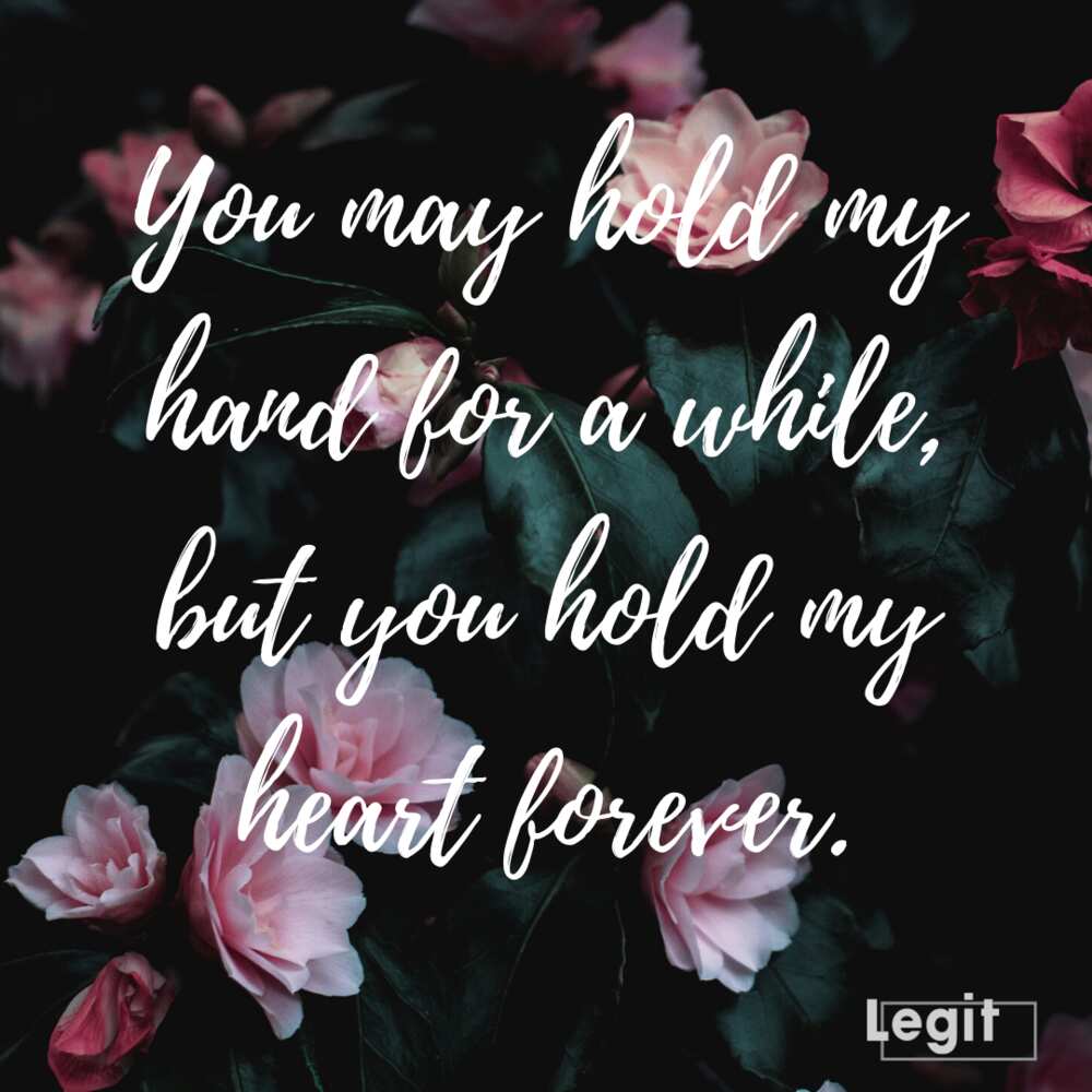 35 beautiful love of my life quotes for that one special person ...