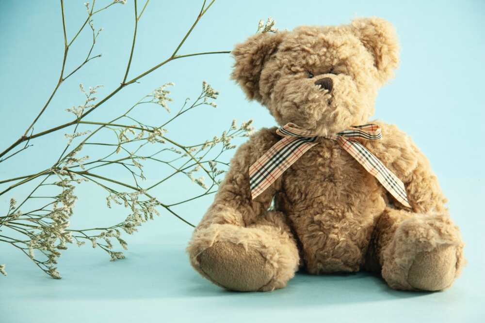 Teddy bear names