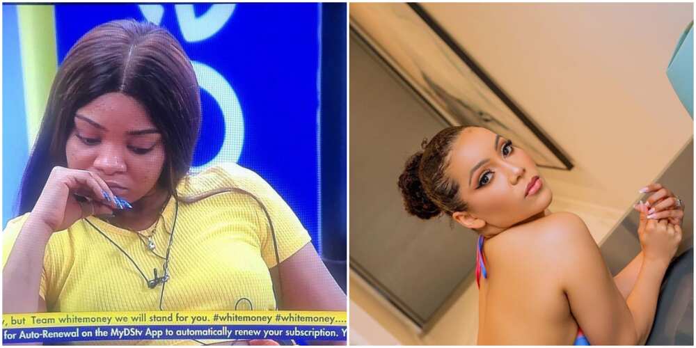 BBNaija: Queen and Maria