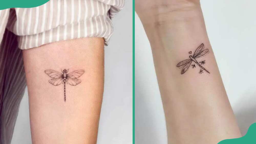 Elegant dragonfly tattoos small