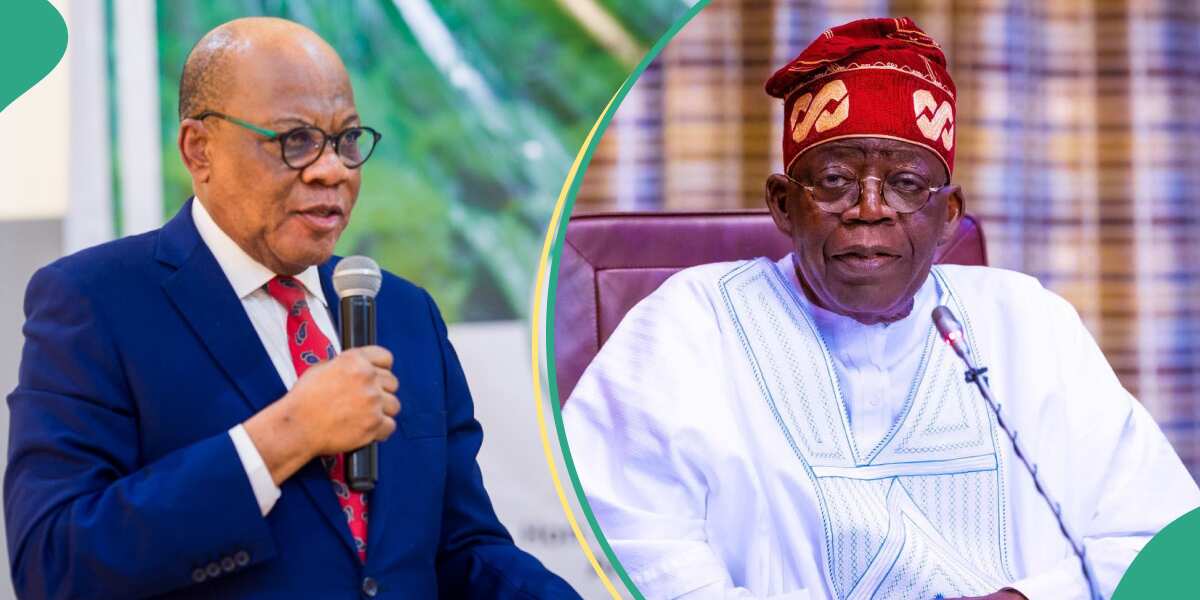 Prominent lawyer Agbakoba reveals number of ministers President Tinubu need
