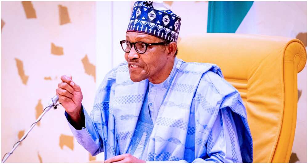 President Muhammadu Buhari, Damaturu, Nigeria's security institutions, terrorist group