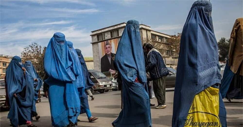Taliban militants toppled the Afghanistan government and took over power on Sunday, August 15. Taliban militants toppled the Afghanistan government and took over power on Sunday, August 15.