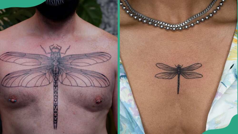 Chest dragonfly tattoos