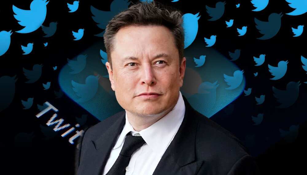 Elon Musk, Twitter CEO Photo credit: Northlines
Source: Google Image