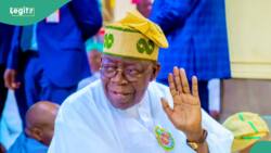 Two reasons Nigerians will vote for Tinubu in 2027 - APC chief spills