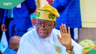 Two reasons Nigerians will vote for Tinubu in 2027 - APC chief spills