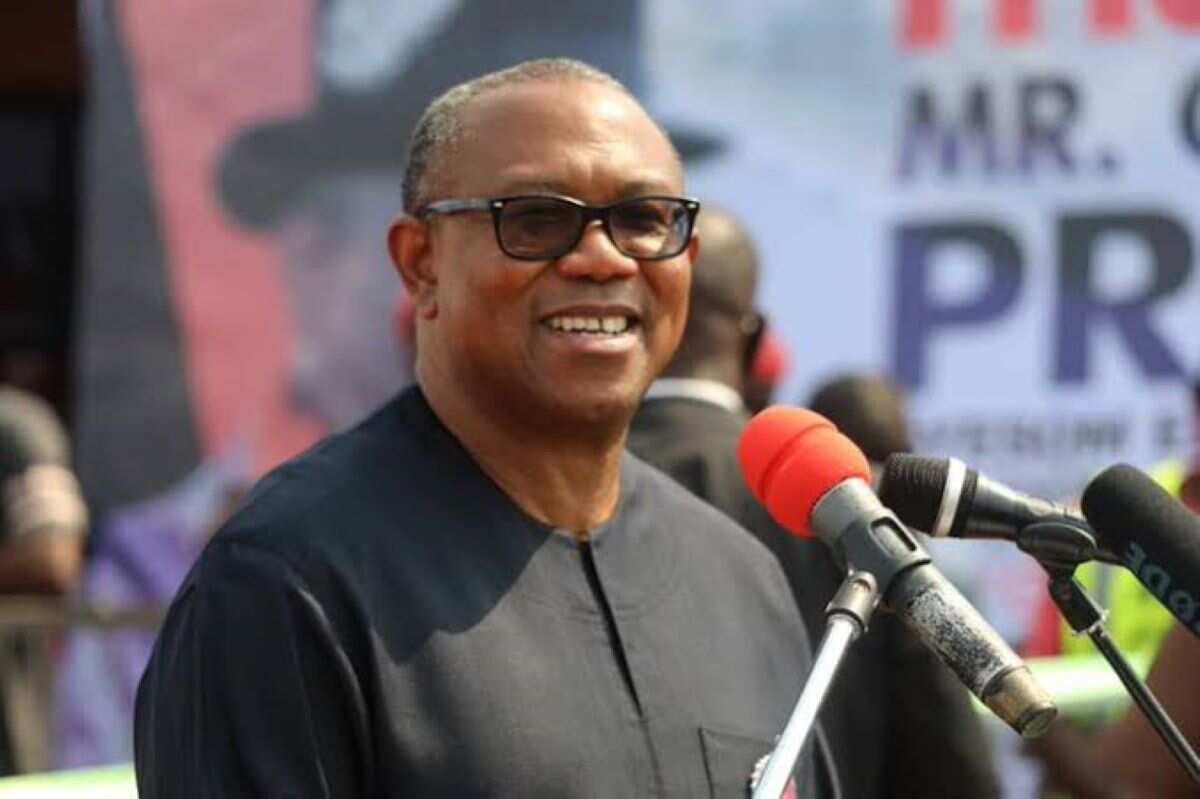 Peter Obi finally reacts to claims that 'Obidients' are violent, reveals shocking details