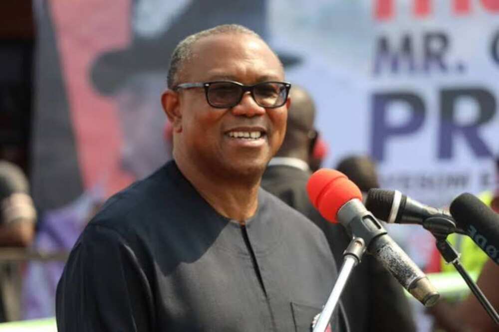 Peter Obi, Labour Party, 2023 presidential election, Obidients, Peter Obi supports, violence