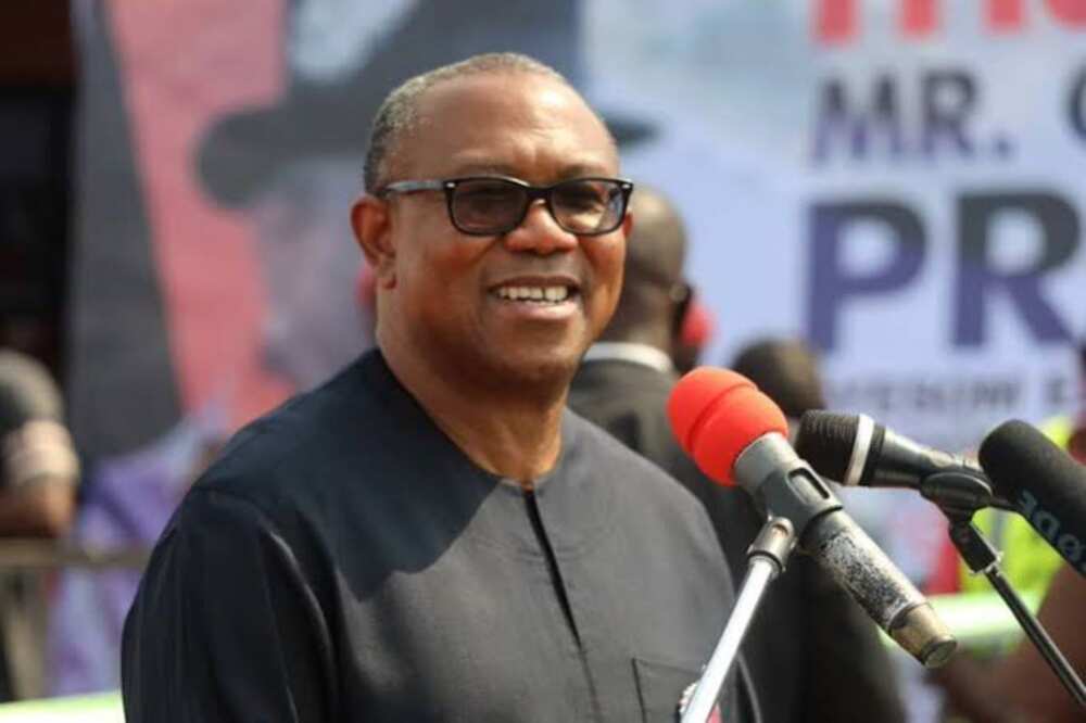 Peter Obi, Nigeria economy, 2023 presidential election, Labour Party, politics in Nigeria