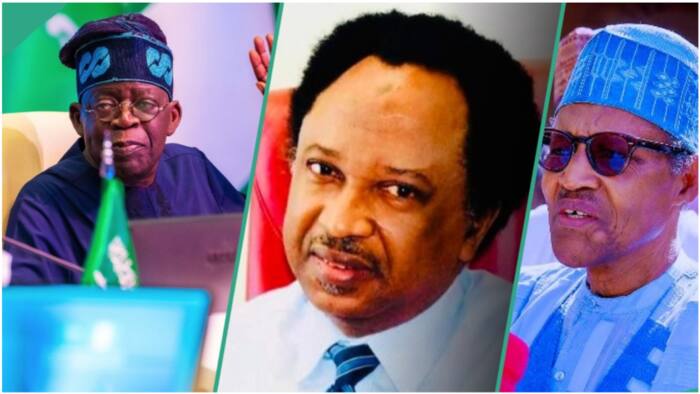 "Why Tinubu is doing better than Buhari", Shehu Sani gives comparative analysis on insecurity