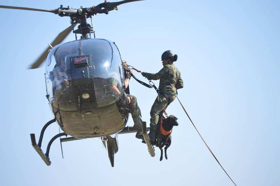 Nigerian Air Force