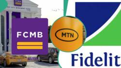 Fidelity Bank, Seplat, TotalEnergies, 6 others emerge companies in Nigeria with highest earnings per share