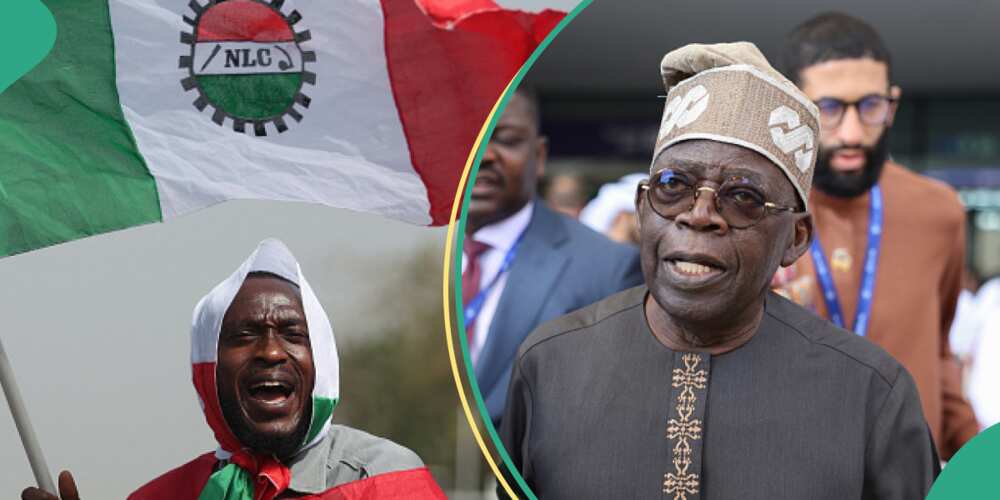 NLC and TCL are seeking increased pay for workers from the Bola Tinubu-led administration