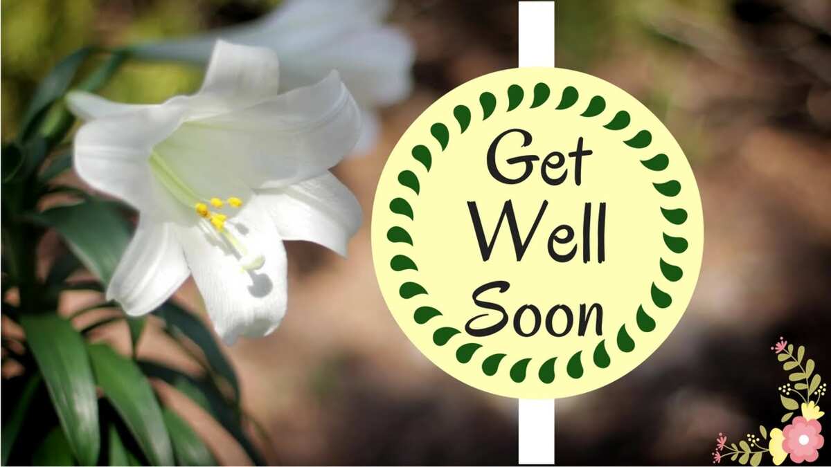 120 best get well soon messages and wishes for him to cheer him up ...