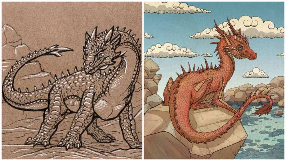 Different types of dragons from mythology and popular culture