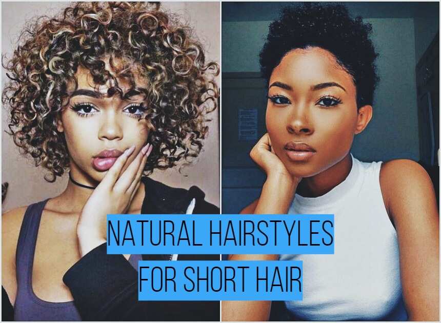 Cute Natural Hairstyles For Short Hair Legit Ng