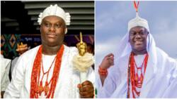 "E reach make he use microphone": Video shows Ooni of Ife having a table discussion with his numerous queens