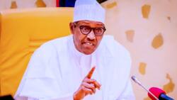 Babbar Sallah: Ba zam huta ba har sai na samar da sassauci ga yan Najeriya, Shugaba Buhari