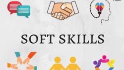 Que sont les soft skills? Définitions, liste, exemples, traduction